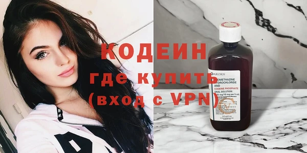 дурь Вяземский