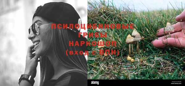 PSILOCYBIN Горняк