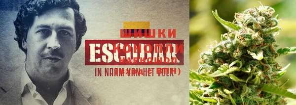 дурь Вяземский