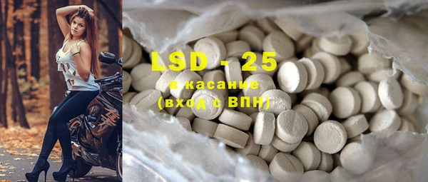 PSILOCYBIN Горняк