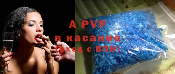 PSILOCYBIN Горняк