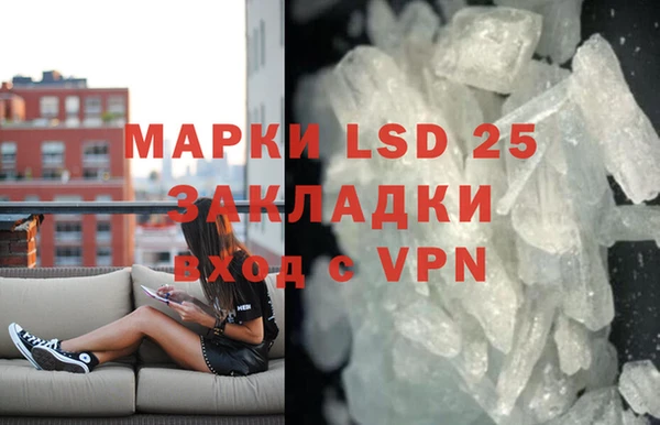 PSILOCYBIN Горняк