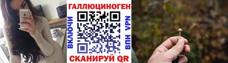 OMG ссылка сколько стоит Дубовка Псилоцибиновые грибы ЛСД